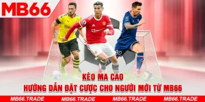 Kèo Ma Cao – Hướng Dẫn Đặt Cược Cho Người Mới Từ MB66