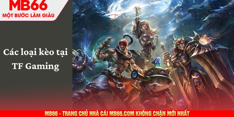 Cung cấp nhiều kèo cùng lúc
